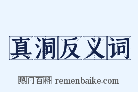 真洞反义词是什么意思的图片
